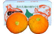 かぼちゃ 朱里(あかり)