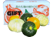 カボチャのセット