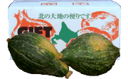 かぼちゃ ロロン