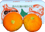 かぼちゃ　朱里(あかり) 