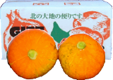 かぼちゃ　 朱里（あかり）