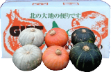 かぼちゃ　坊っちゃんの３色セット