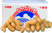 じゃがいも　メークイーン